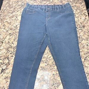 Lane Bryant Dark Blue Skinny Jeans